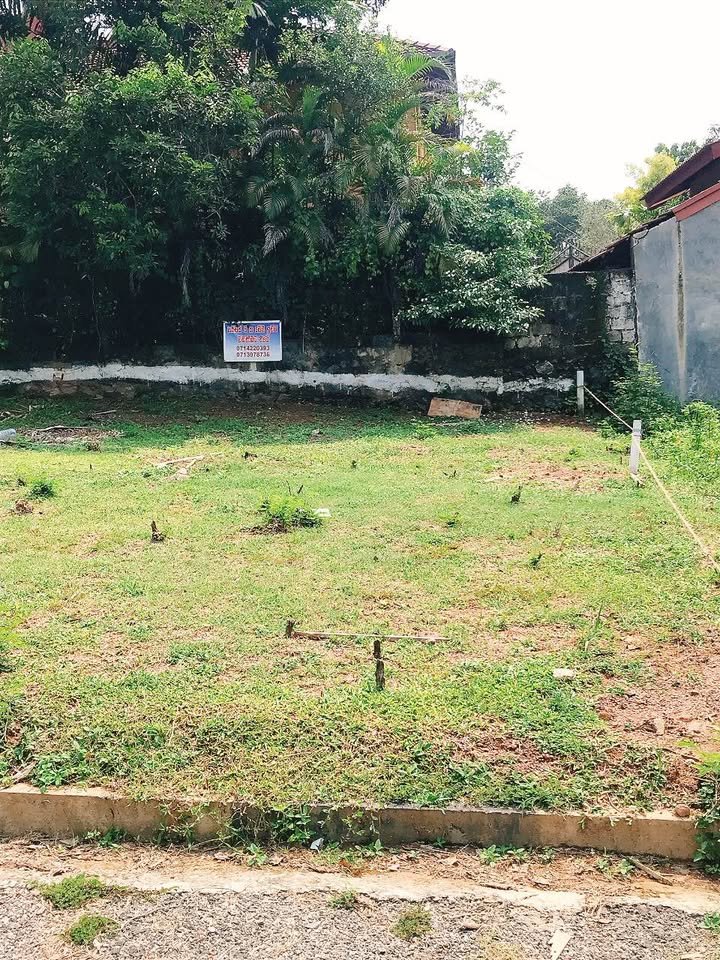 Kandana Prime Land for Sale