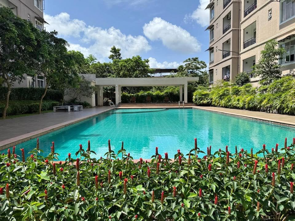 Mount clifford Aparment for rent